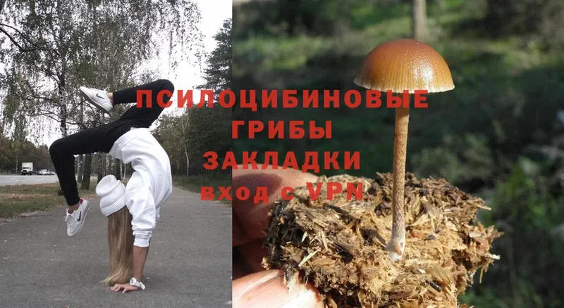 даркнет какой сайт  Бакал  Псилоцибиновые грибы Magic Shrooms  купить  