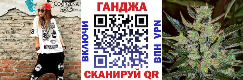 Бошки Шишки семена  Бакал 